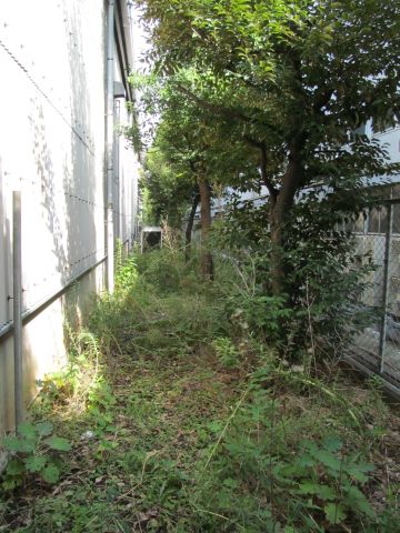 横浜市店舗施設の草刈り前