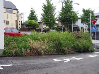 横浜市青葉区 駐車場草刈前
