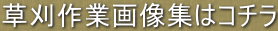 Ɖ摜W̓R` 